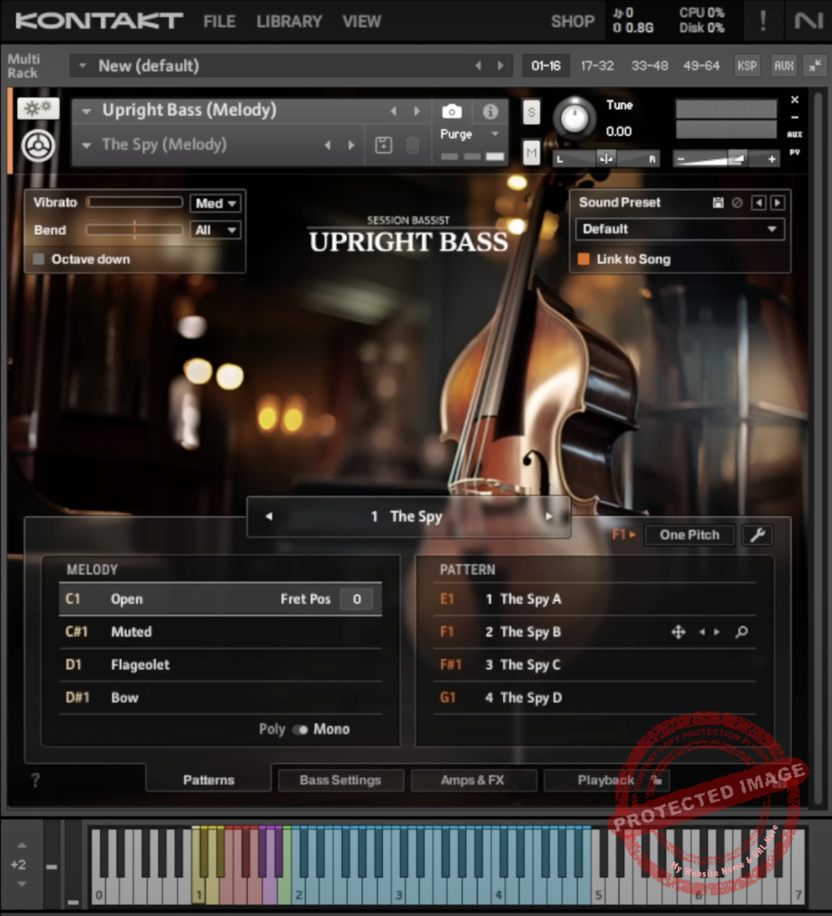 Kontakt 8 Session Bassist Upright Bass